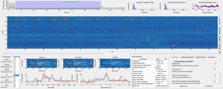 Calcium sparks dissertation 05 picture