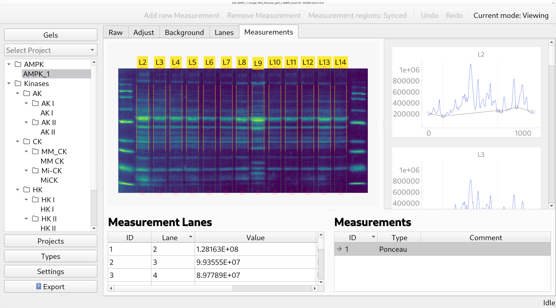 Simple analysis of gel images with IOCBIO Gel
