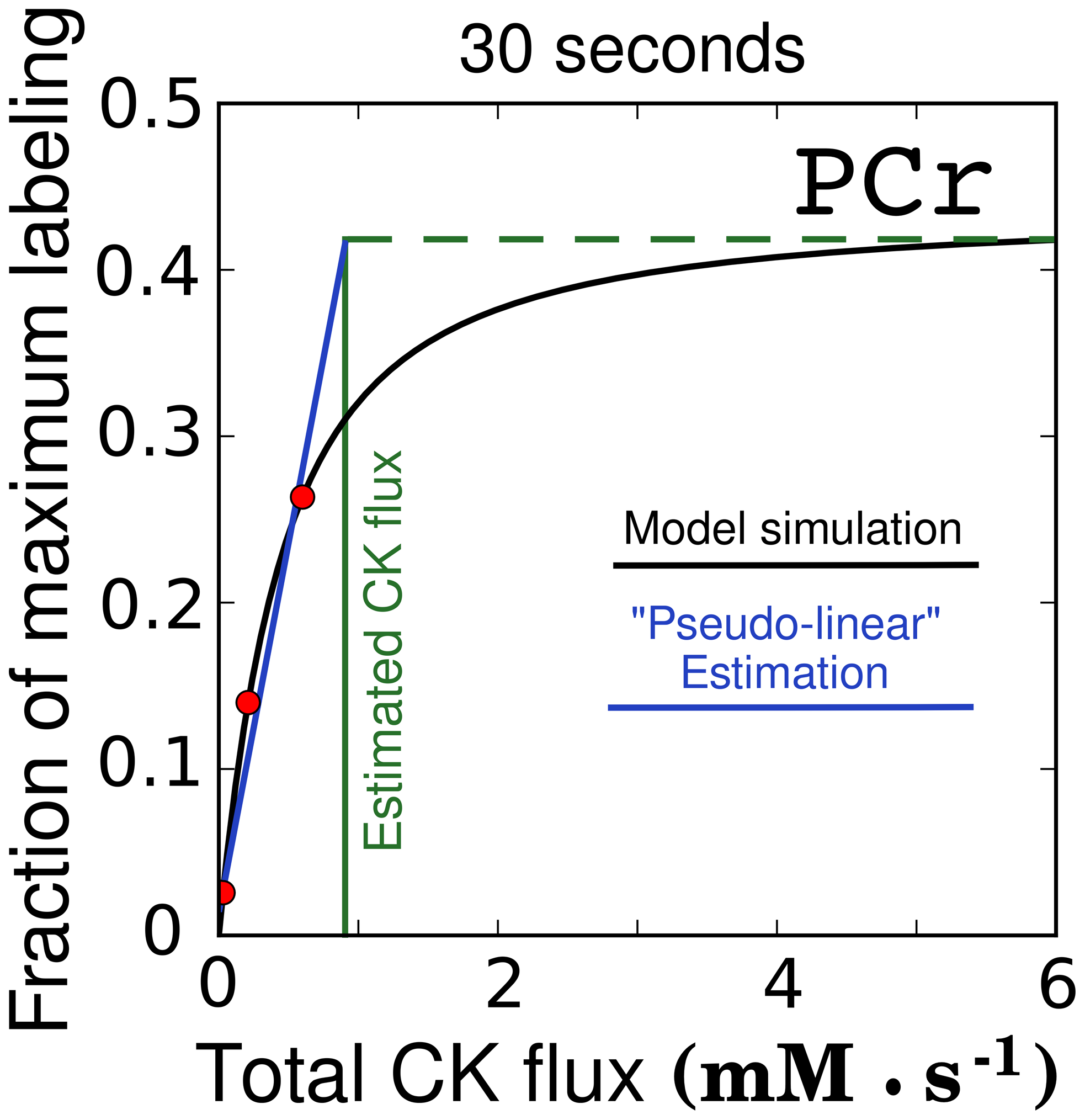 Sensitivity analysis of flux determination in heart by H₂ ¹⁸O -provided labeling using a dynamic Isotopologue model of energy transfer pathways